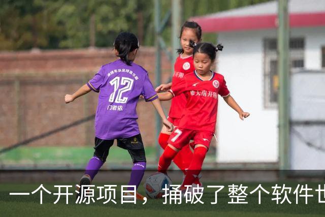 一个开源项目，捅破了整个软件世界的窗户纸