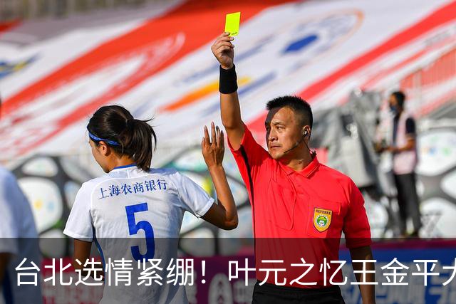 台北选情紧绷！叶元之忆王金平大罢免最后一周示警“只有你危险”