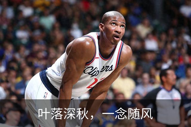 叶落深秋，一念随风
