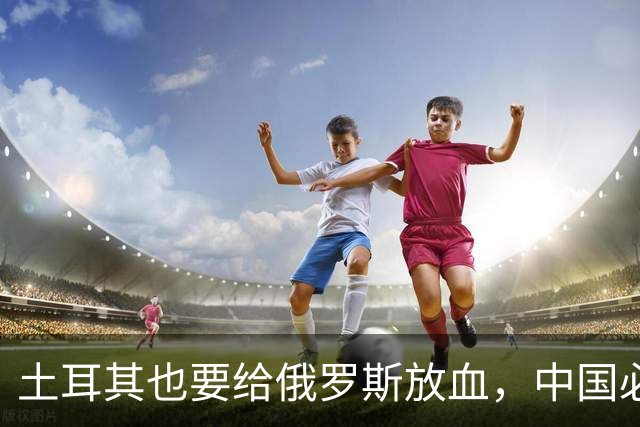土耳其也要给俄罗斯放血，中国必须吸取教训，台海一战绝不能久拖
