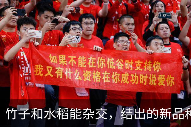 竹子和水稻能杂交，结出的新品种竹稻米能不能吃？怎么做到的？